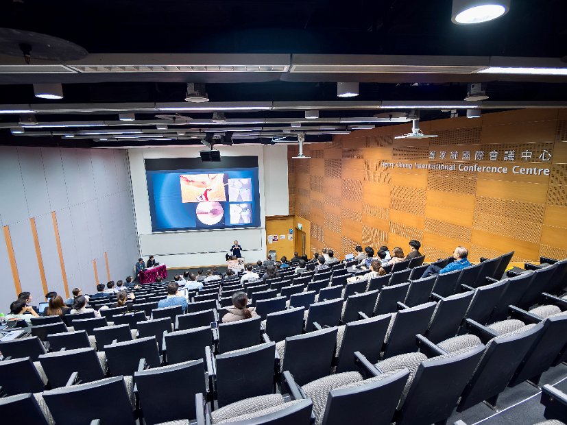 HK Wrist Course 2024- Seminar  - 20 of 257